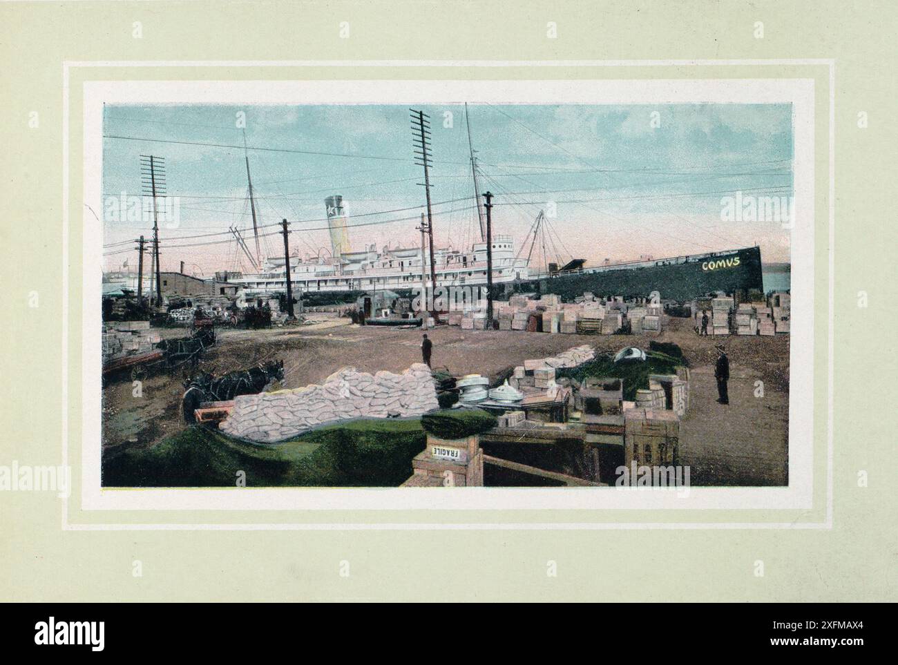 Vintage photo of New Orleans. Levee Scene - S. S. Comus - S. P ...