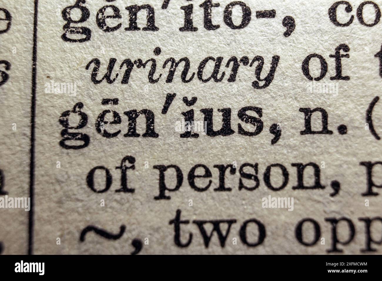 Word genius on dictionary page, macro close-up Stock Photo