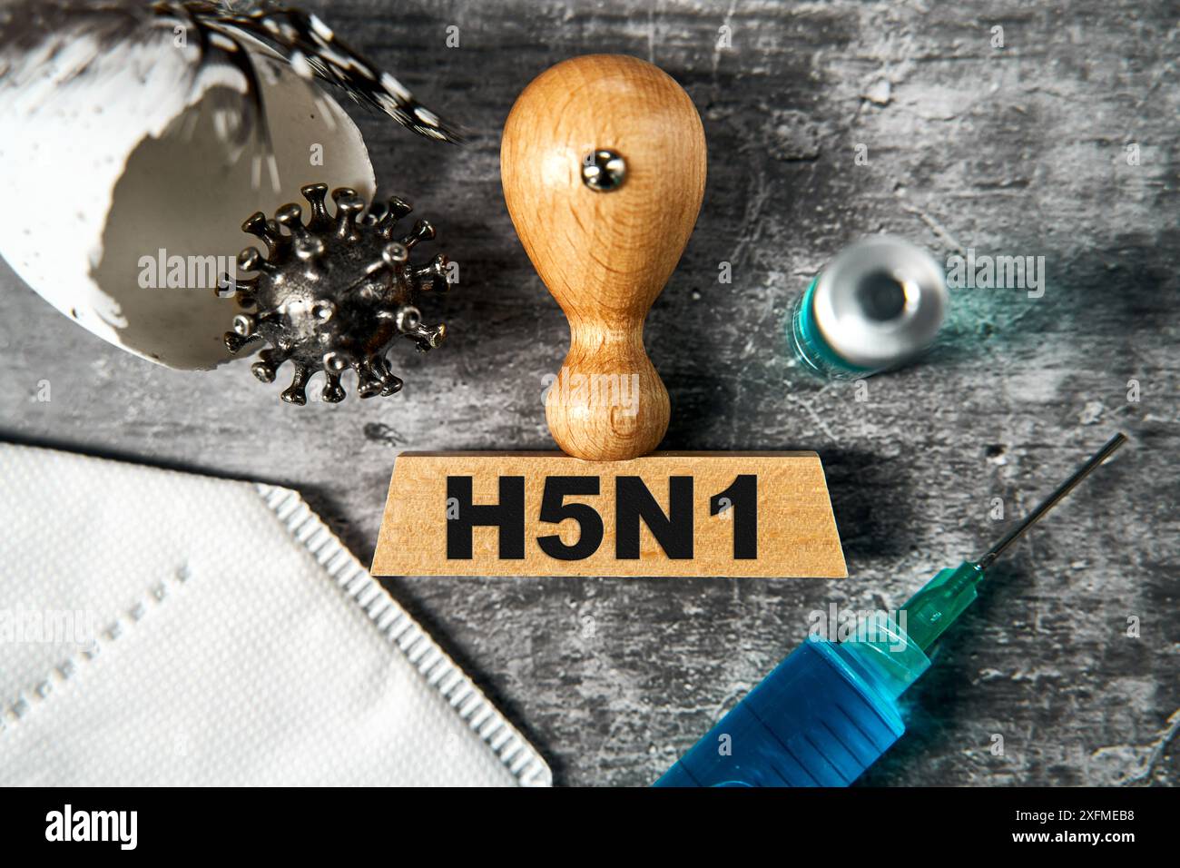 Germany - 02 July 2024: A broken or cracked egg, a wooden stamp with the inscription H5N1 - virus, bird flu, influenza A virus, a syringe (vaccine / v Stock Photo