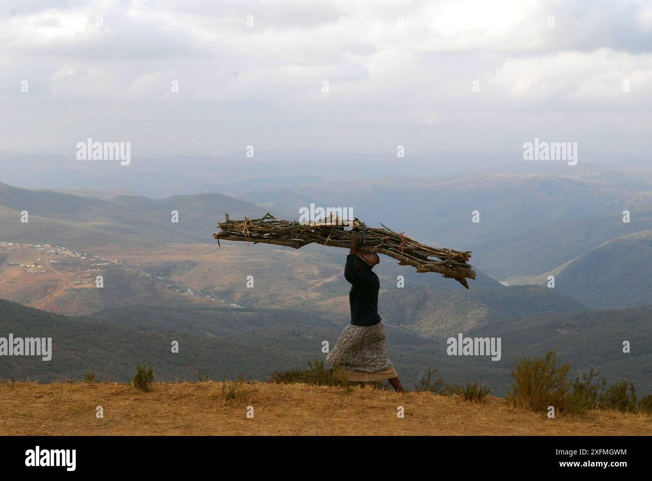 A woman returns home from collecting firewood in the Harding District of KwaZulu-Natal, South Africa. Wood is a reliable source of fuel in rural areas. Stock Photo