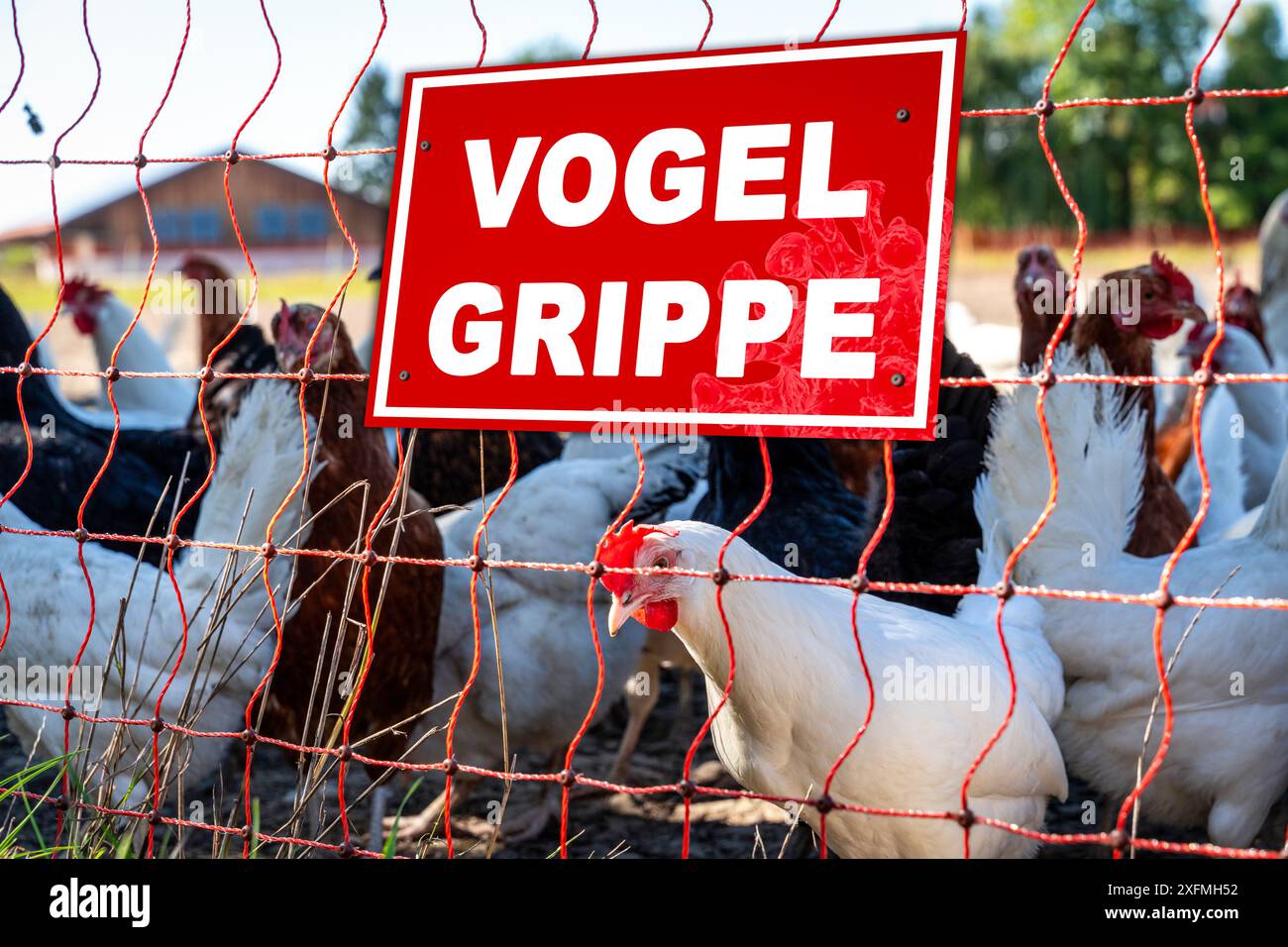 Germany - 02 July 2024: Warning about the H5N1 bird flu virus on a sign ...