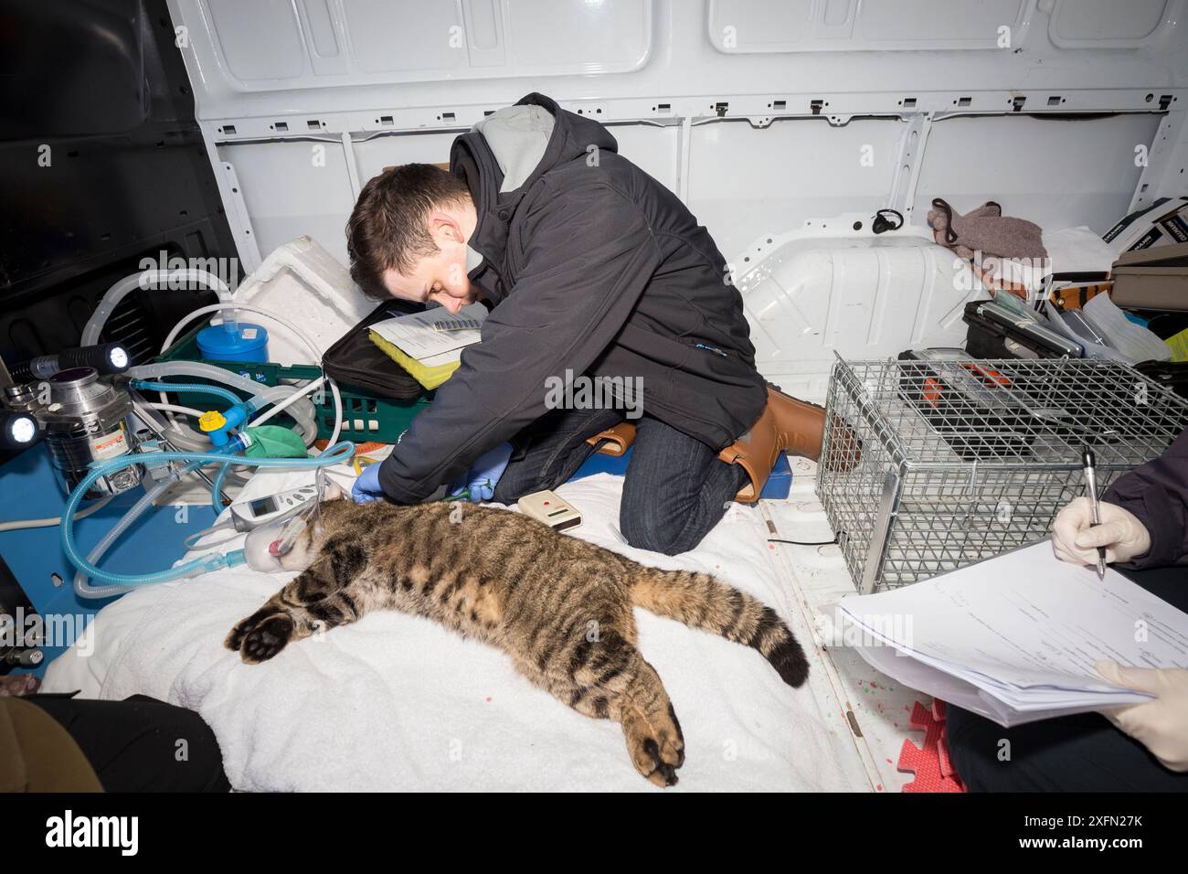 Screen Recorder Vector Mobile recording unit hi-res stock photography and images - Alamy