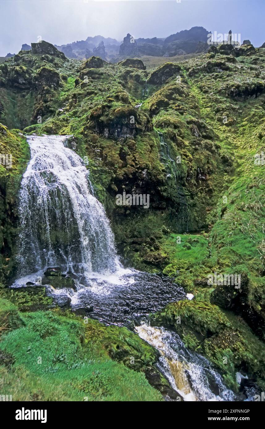 Waterfall In Volcanic Landscape Sooty Canyon Gough Island Gough And waterfall-in-volcanic-landscape-sooty-canyon-gough-island-gough-and