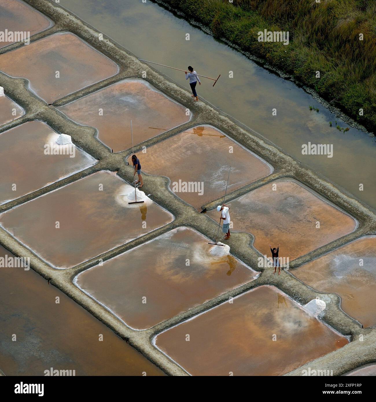 People collecting salt from salt evaporation ponds and child waving, Olonne, Vendee, France, July. Stock Photo