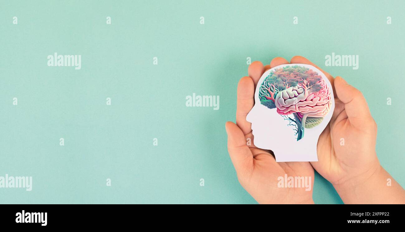 Hands holding paper head, human brain with flowers, self care and mental health concept, positive thinking, creative mind Stock Photo