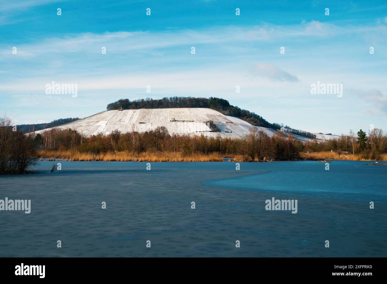 Biodiversity Haff Reimech, wetland and nature reserve in Luxembourg ...