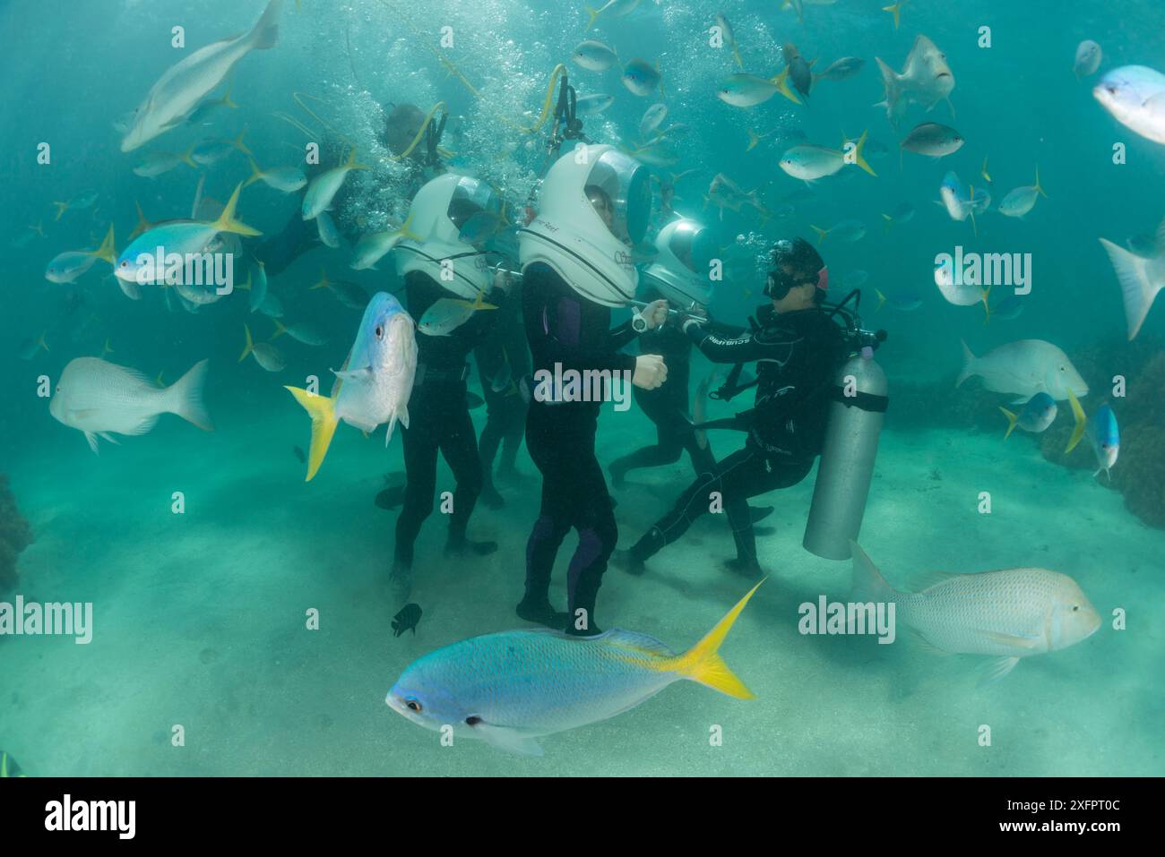 Tourists helmet diving and walking around the shallow reefs of Green