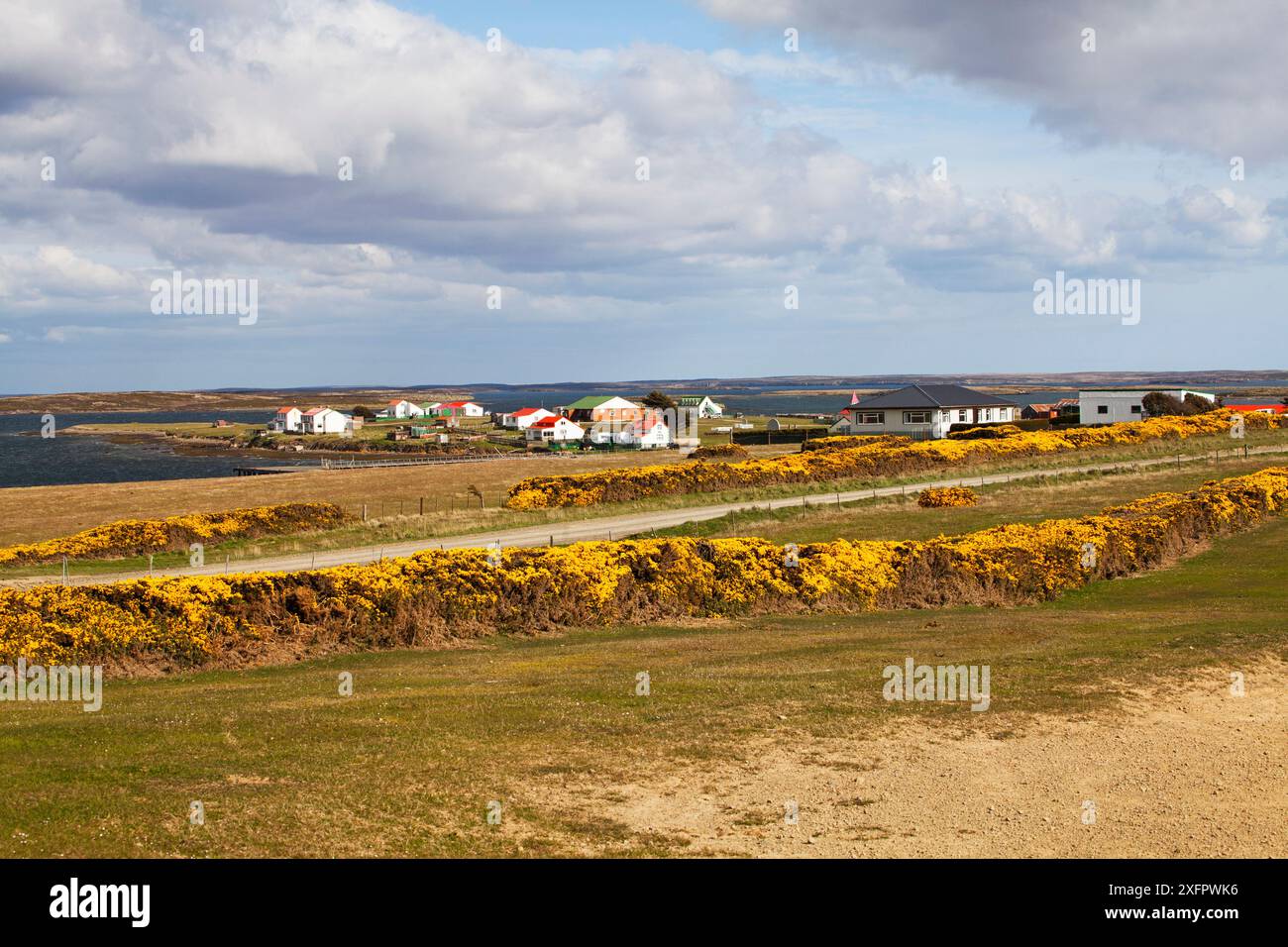 goose-green-falklands-hi-res-stock-photography-and-images-alamy