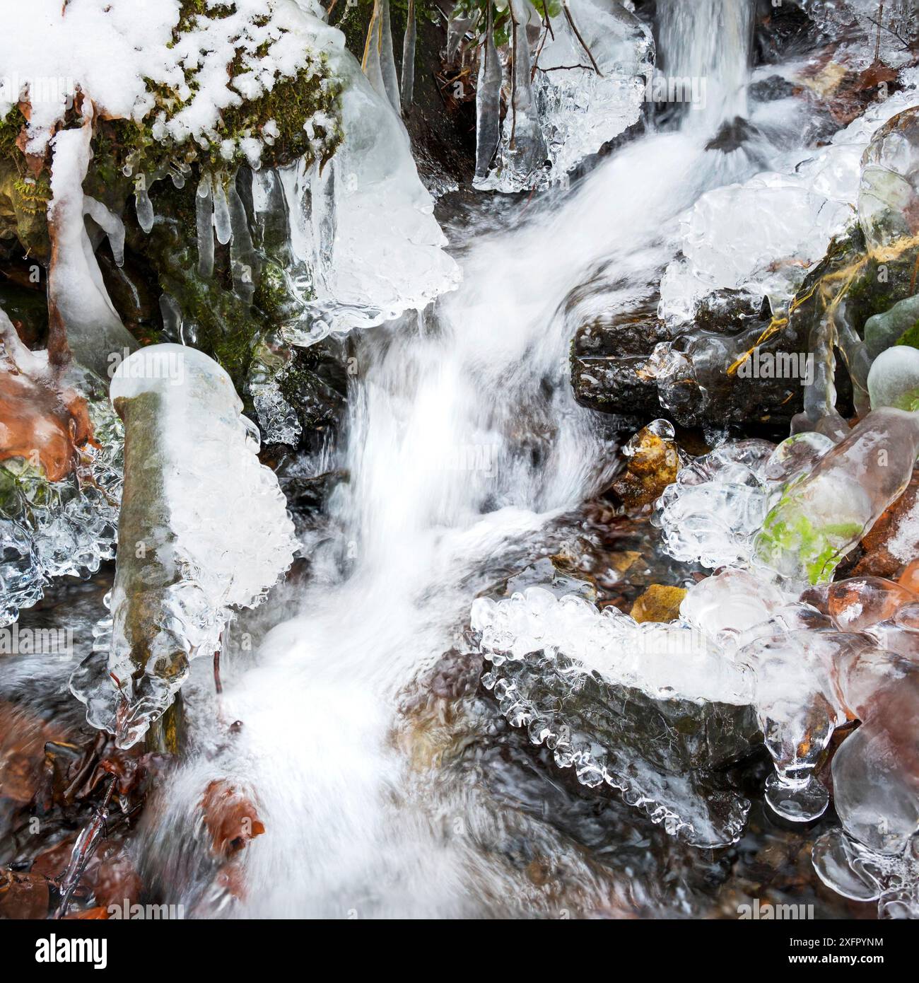 Little stream hi-res stock photography and images - Alamy