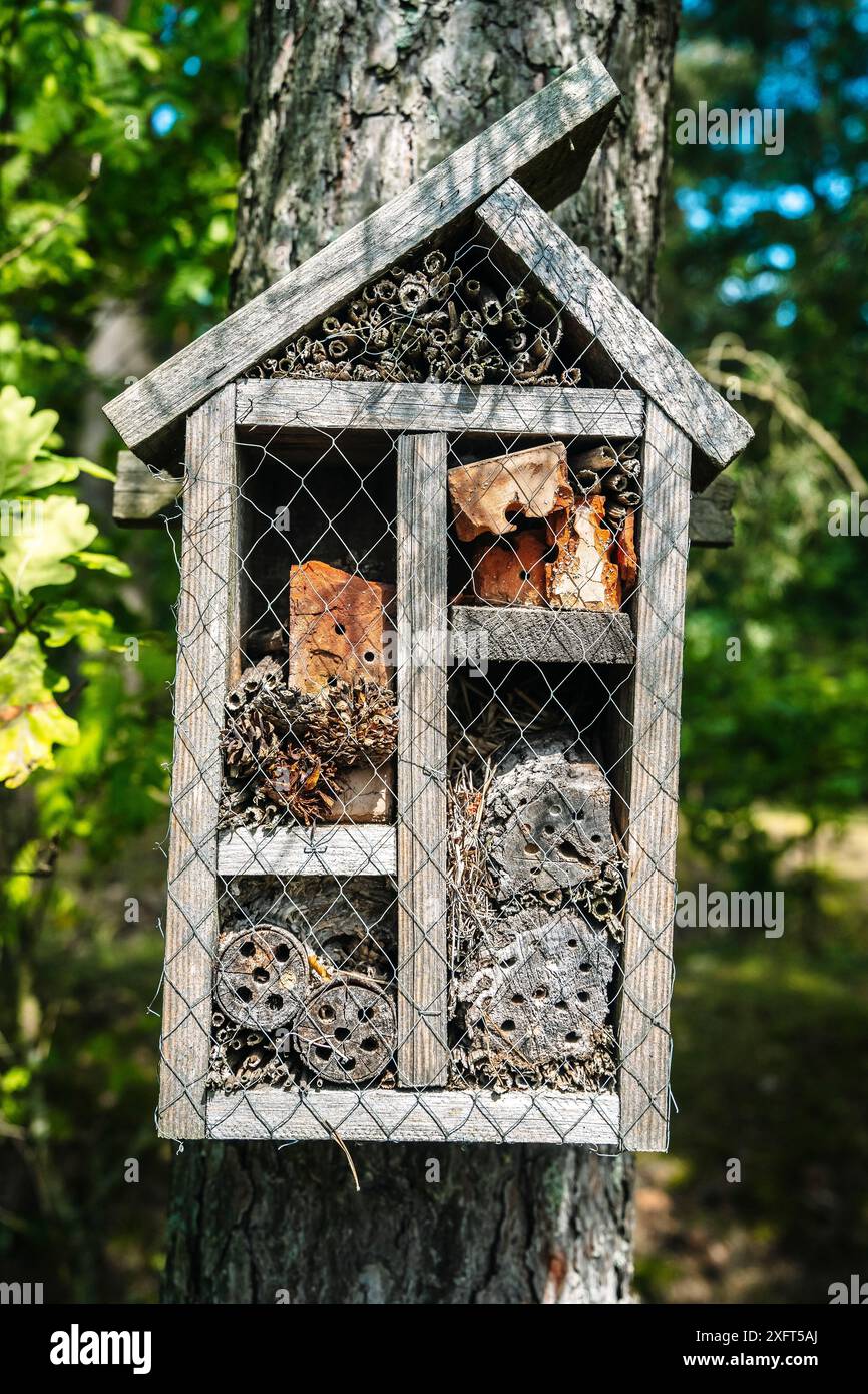 Bee house cottage hi-res stock photography and images - Page 2 - Alamy, image size:866x1390