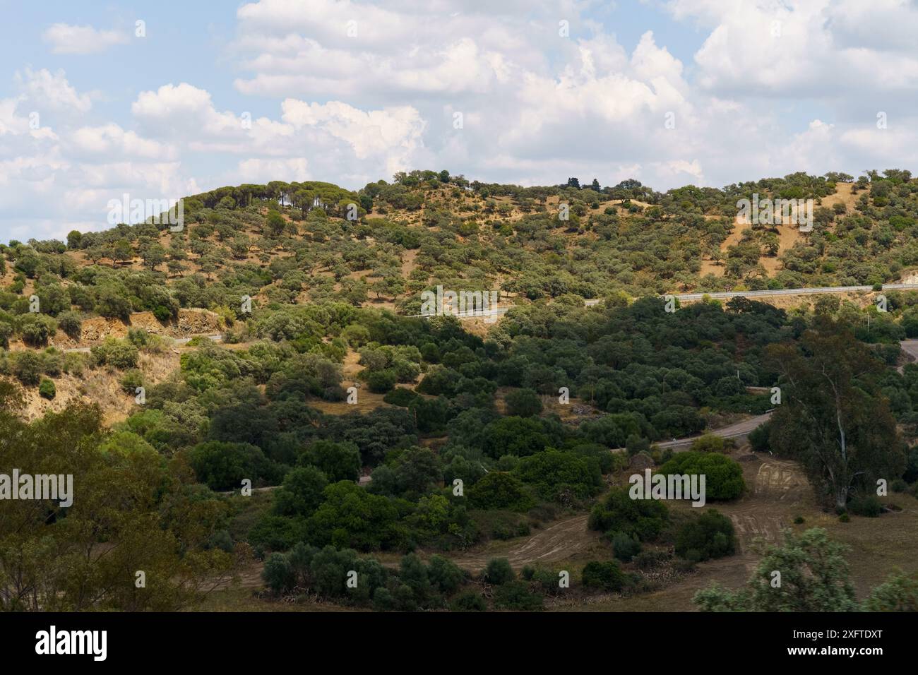 Aerial view verdant hills trees hi-res stock photography and images - Alamy