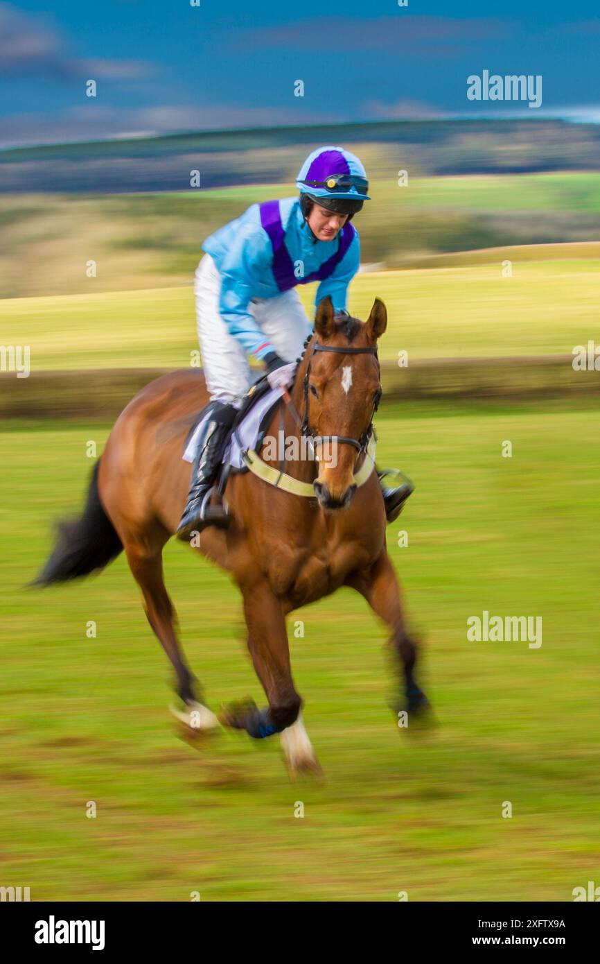 Blurred motion image of horse and jockey galloping during Itton point ...