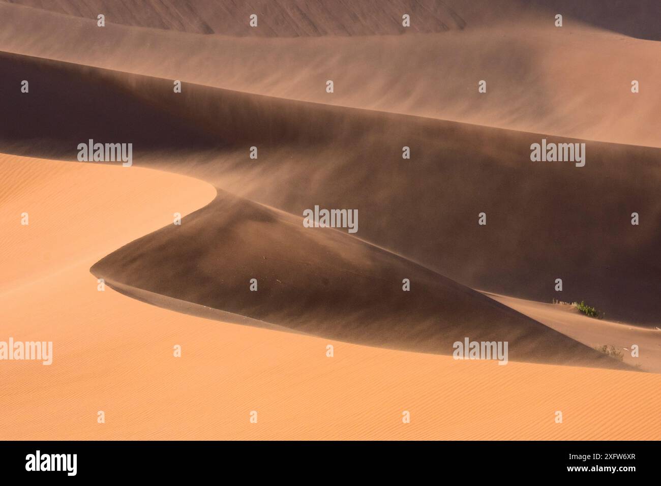 Sand dunes moving in the wind, Sossusvlei,  Namib-Naukluft National Park, Namibia Stock Photo