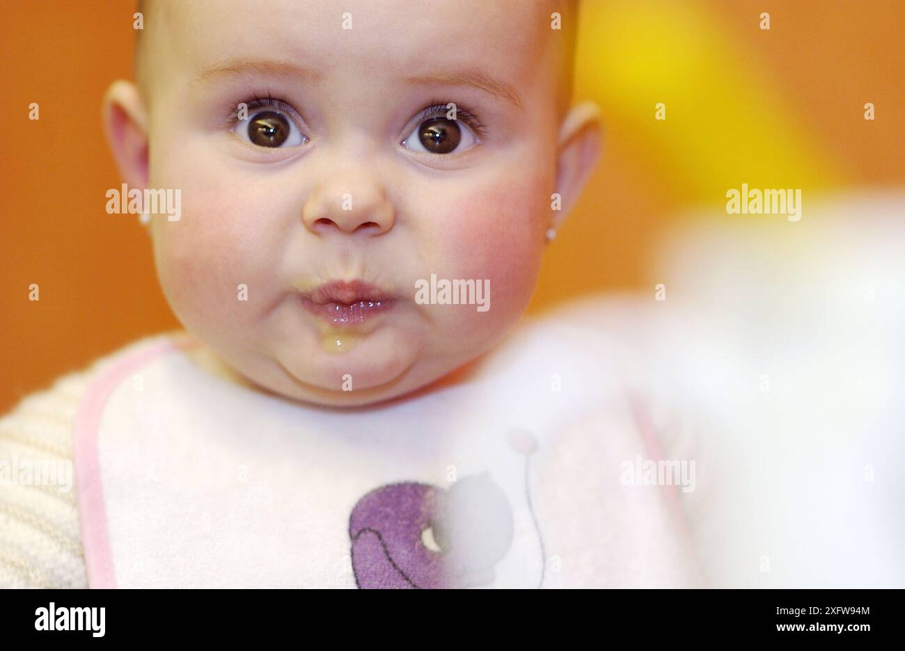 Six months old baby eating stock photo alamy