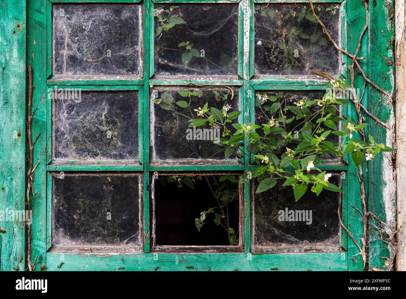 old damaged window on a farm in Liencres, Cantabria, Spain. Stock Photo