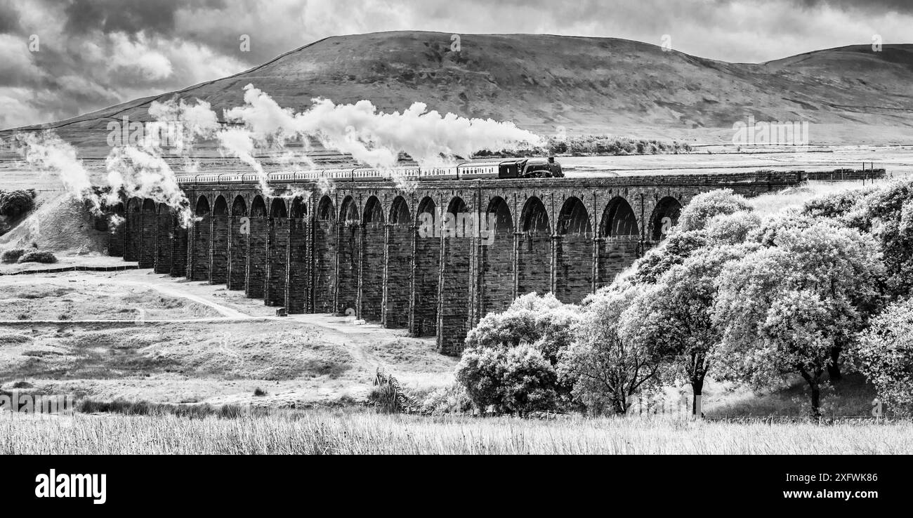 The image is of the BR, LNER A4 Pacific Class, 4-6-2, 60007, Sir Nigel Gresley steam train crossing the Ribblehead viaduct in the Yorkshire Dales Stock Photo