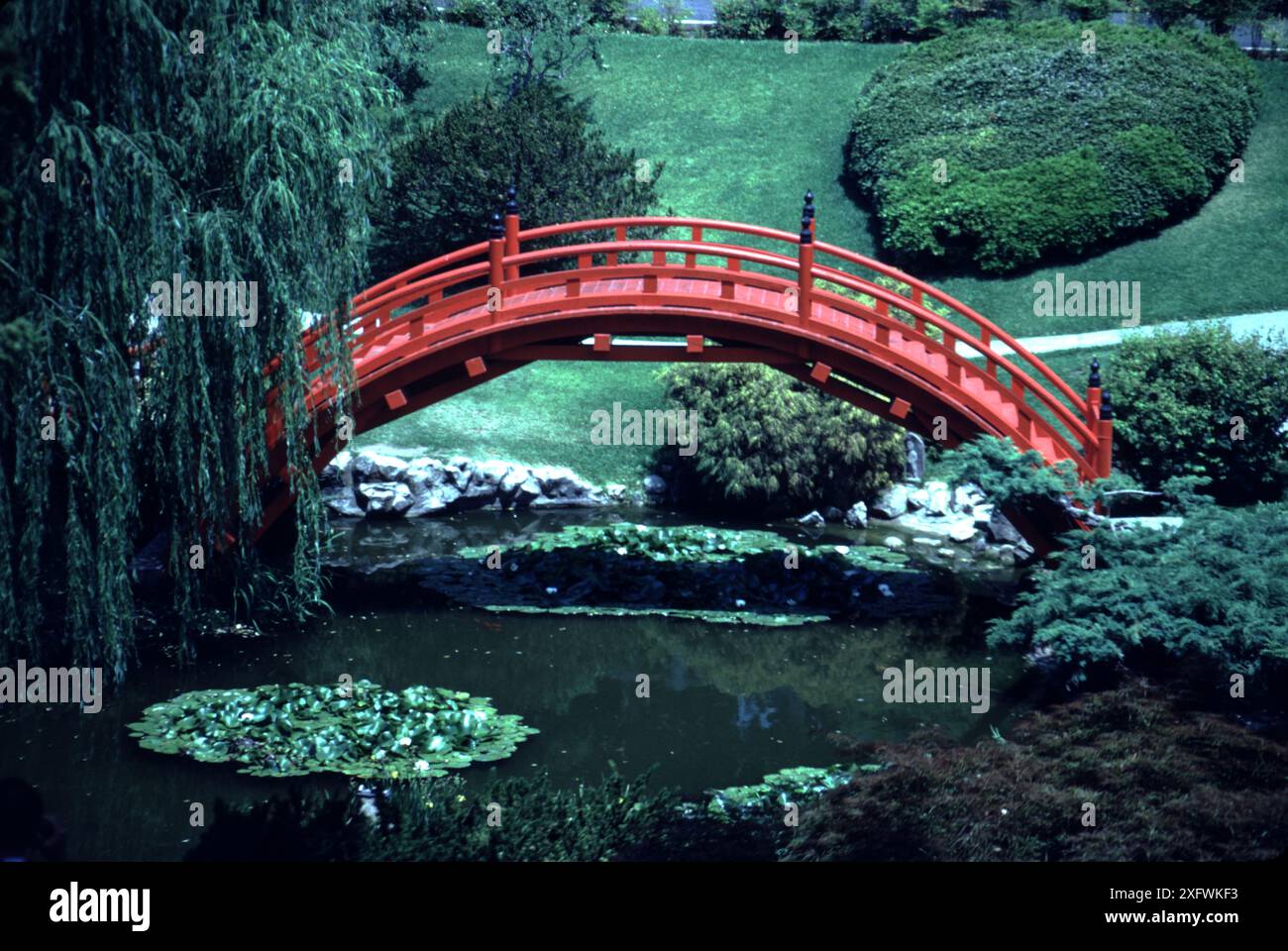 San Marino CA USA. The Huntington.  Japanese Garden bridge. In 1911, art dealer George Turner Marsh sold his commercial Japanese tea garden to Henry E. Huntington to create the foundations of what is known today as the Japanese Garden. The garden was completed in 1912 and opened to the public in 1928.  The beautiful red bridge accents the Garden. Stock Photo