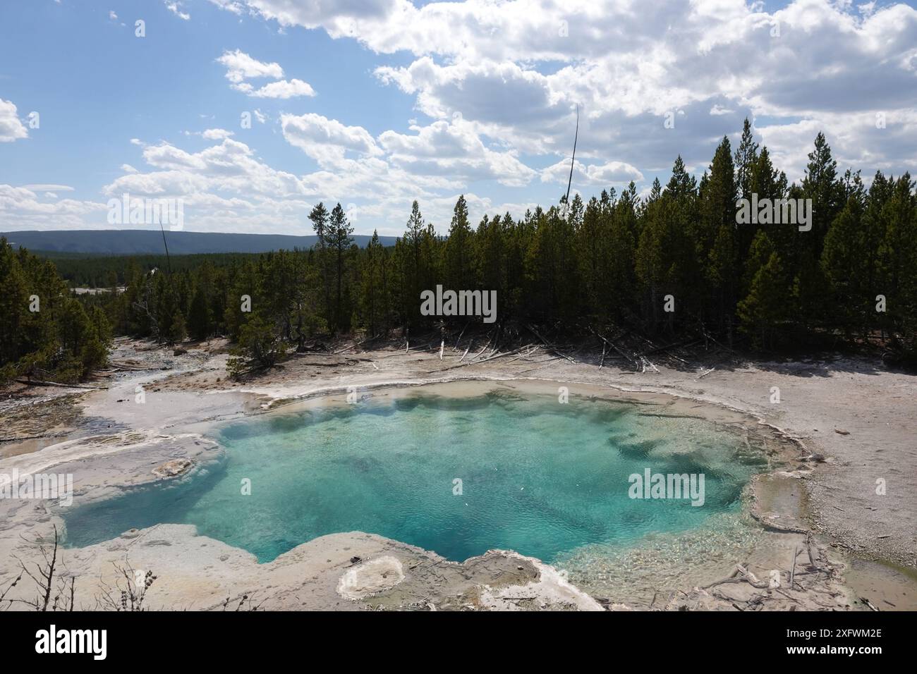 Emerald Spring, Norris Geyser Basin Stock Photo