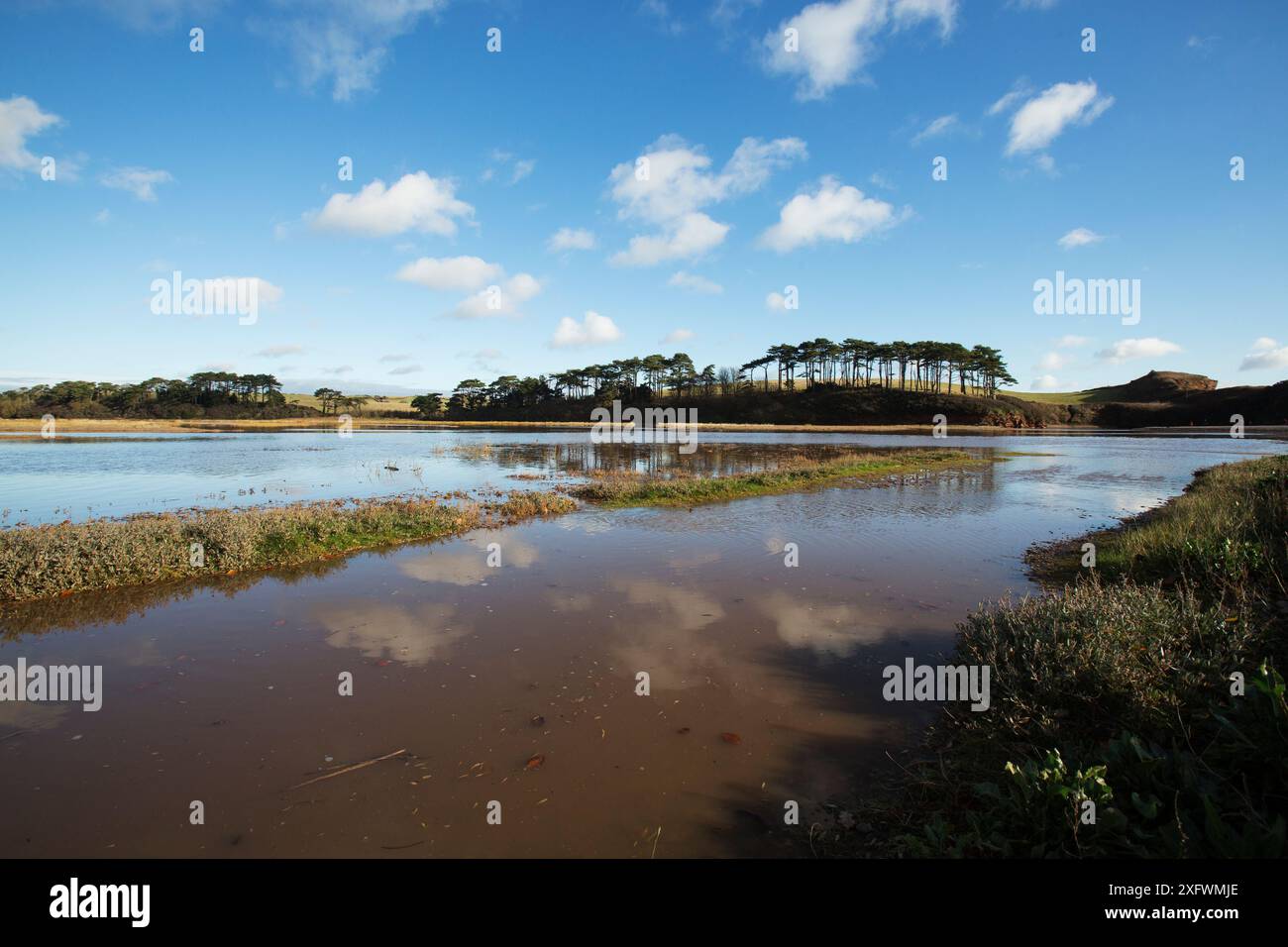 Mouth of the River Otter, Devon, England, UK, November Stock Photo - Alamy