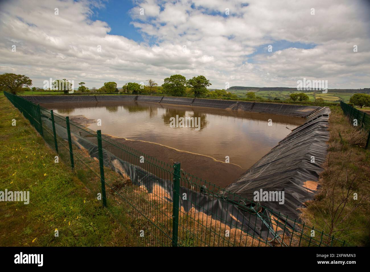 Slurry from the Clinton Devon Estate's Home Farm dairy, stored in 20,000-cubic-metre slurry lagoon until it is needed for fertiliser on the farm. Devon, England, UK, May. Stock Photo