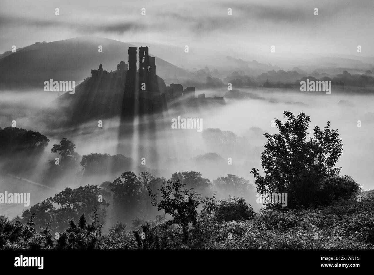 Corfe Castle in morning mist, Corfe, Isle of Purbeck, Dorset, England, UK. September 2013. Stock Photo