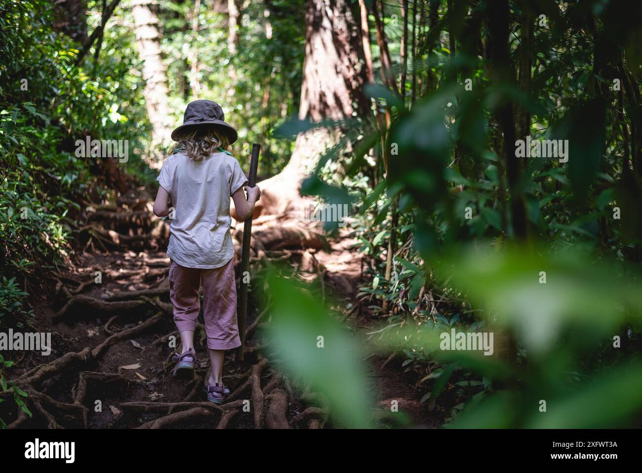 Girl hiking in forest hi-res stock photography and images - Alamy