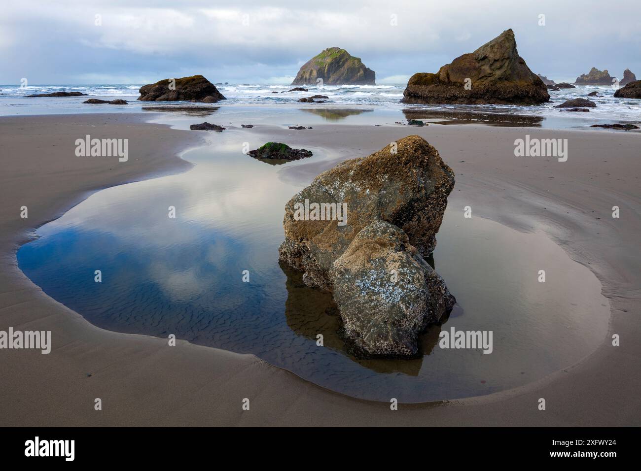 Low tide at Face Rock State Park in Bandon, Oregon, USA. March Stock ...