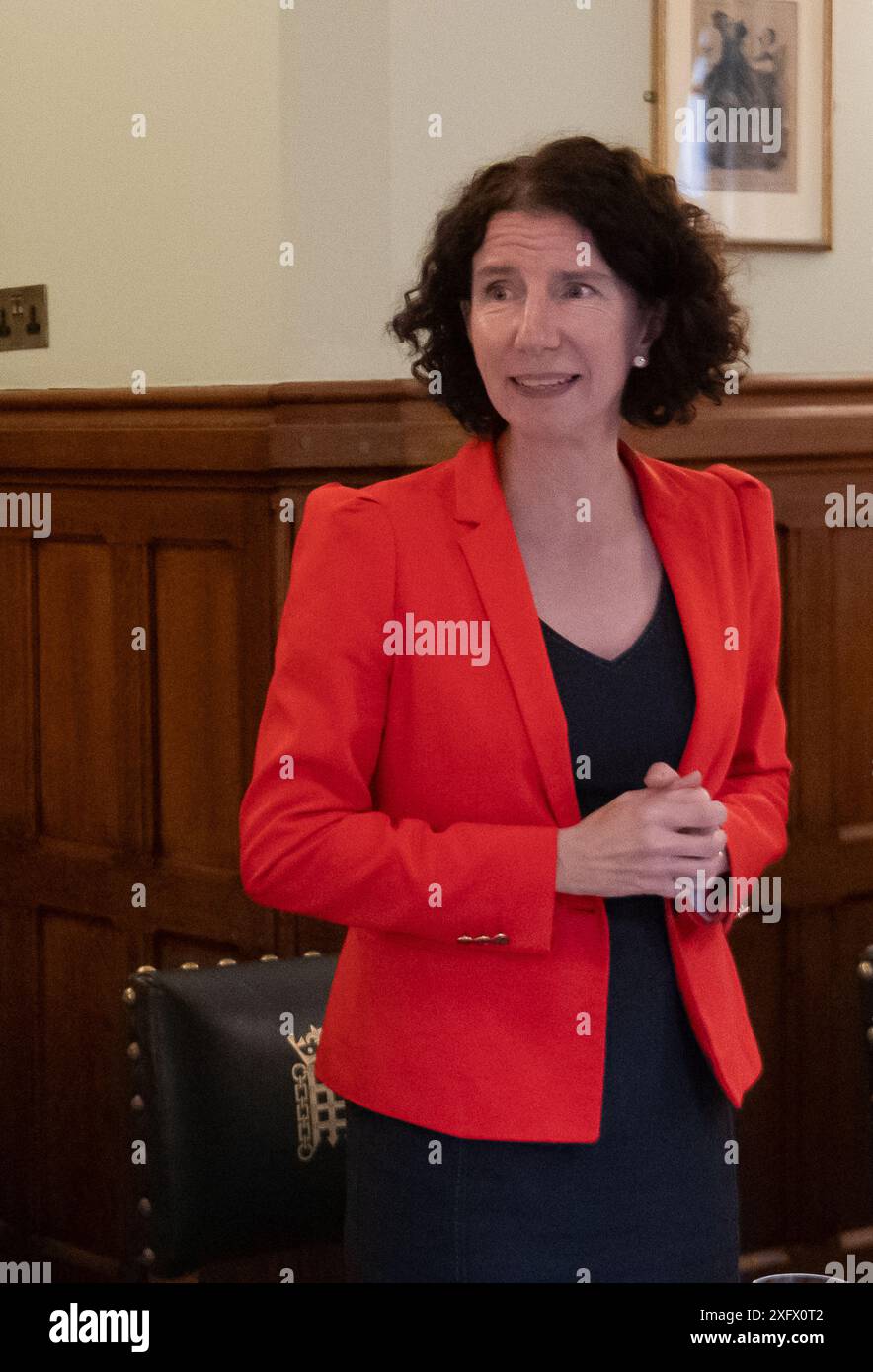 FILES PICS. 5th July, 2024. Anneliese Dodds, Labour and Co-operative ...