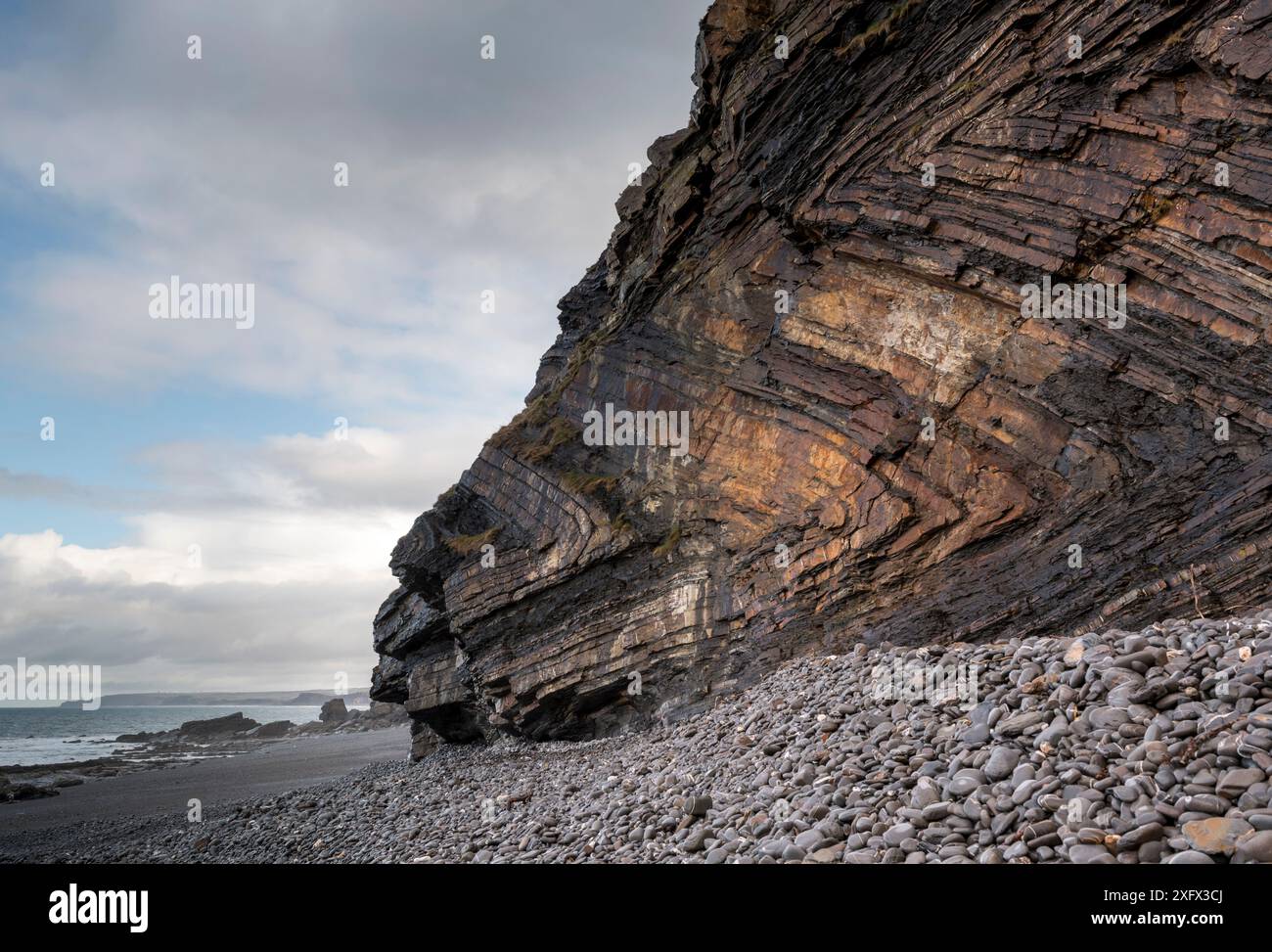 Chevron folded Carboniferous age sandstone and shale (Culm Measures), deformed by compression during the Variscan or Hercynian orogeny, a geologic mountain-building event caused by Late Paleozoic continental collision between Euramerica (Laurussia) and Gondwana to form the supercontinent of Pangea. Millock Haven, near Bude, Cornwall, March Stock Photo