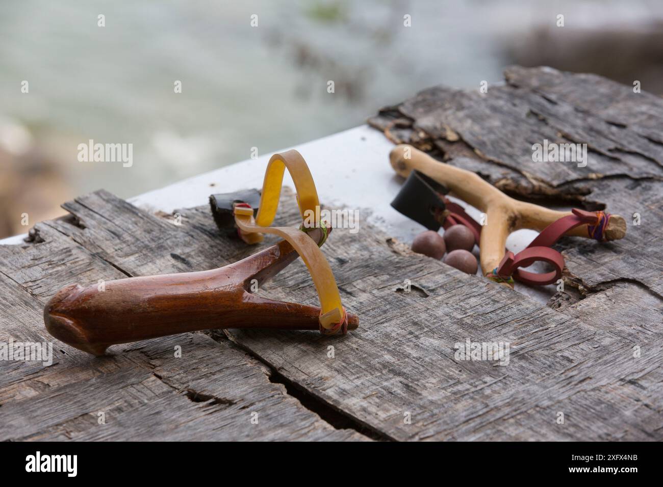 Slingshots used by monks to prevent Longtailed macaque (Macaca