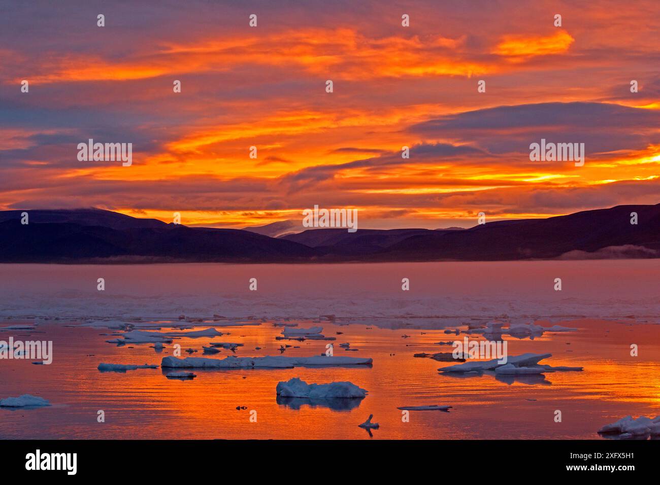 Pack ice at sunset, Wrangel island, Far East Russia. Stock Photo