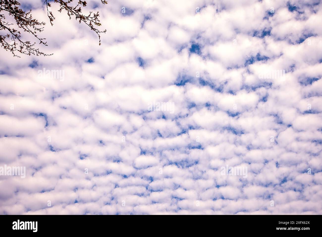 Forming clouds hi-res stock photography and images - Alamy