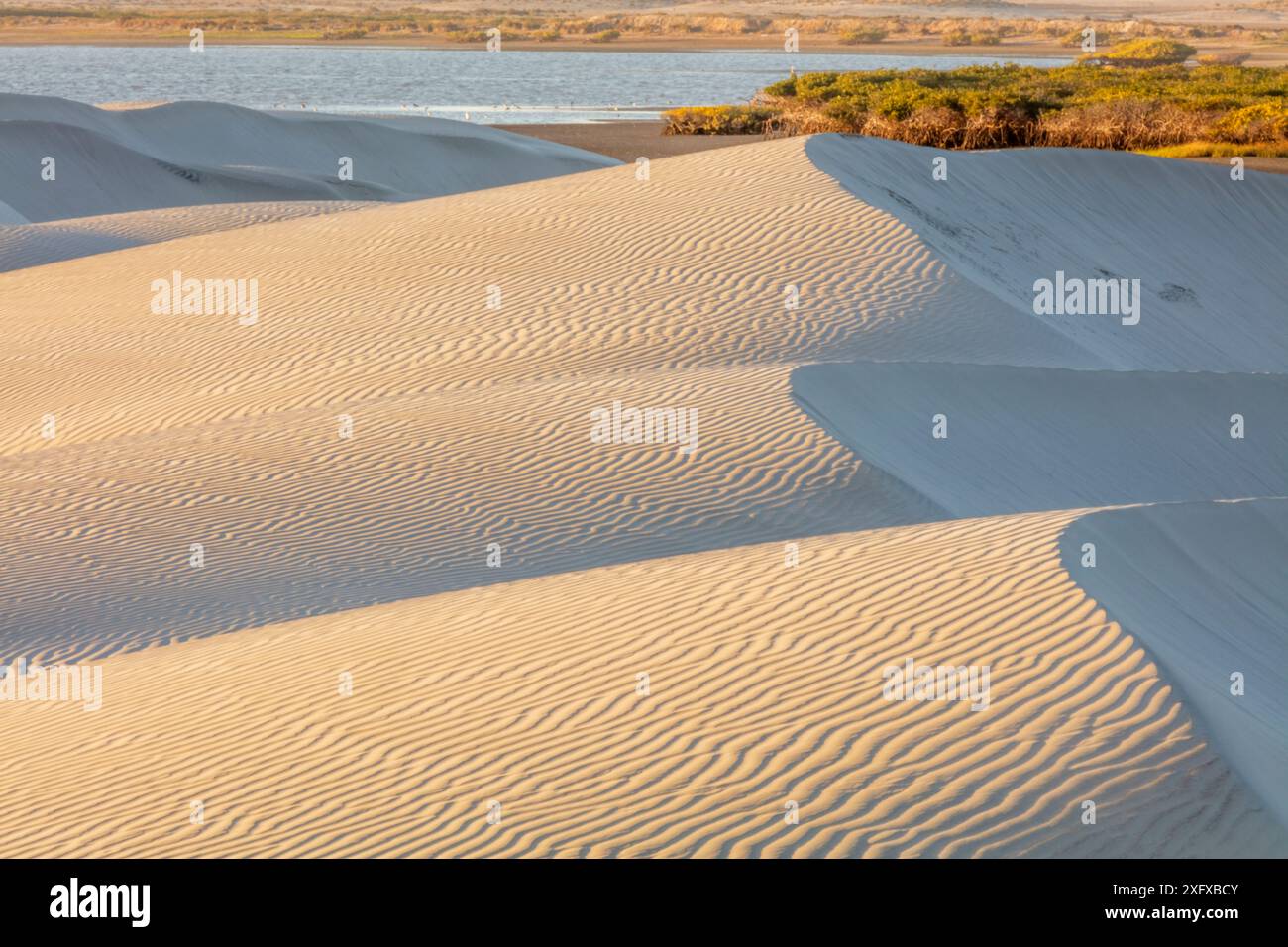 Dunes and estuary, El Datil, El Vizcaino Biosphere Reserve, Baja ...