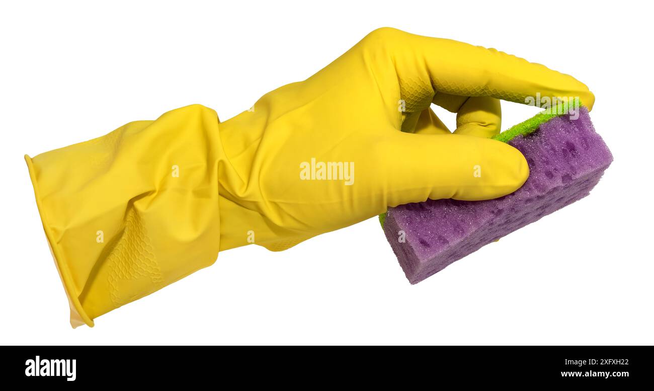 A hand in yellow rubber gloves holds a sponge on a white background ...
