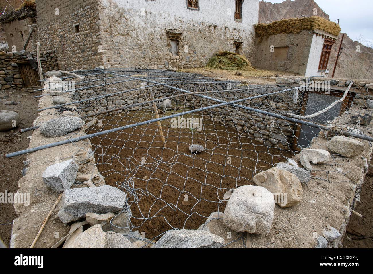 Sheep / domestic stock pen covered with chain-mail to protect against