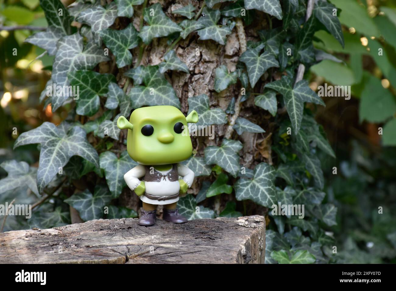 Funko Pop action figure of fictional character ogre Shrek from popular animated film. Forest glade, tree stump, green ivy leaves, swamp, fairy place. Stock Photo