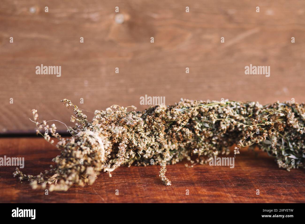 Mugwort up close hi-res stock photography and images - Alamy
