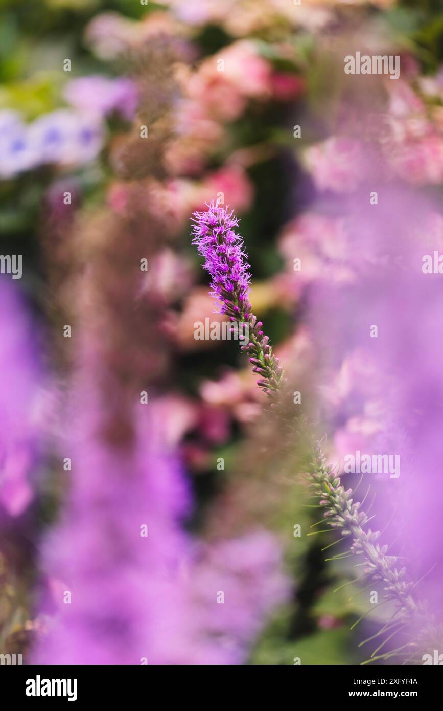 Outdoor splendor hi-res stock photography and images - Alamy
