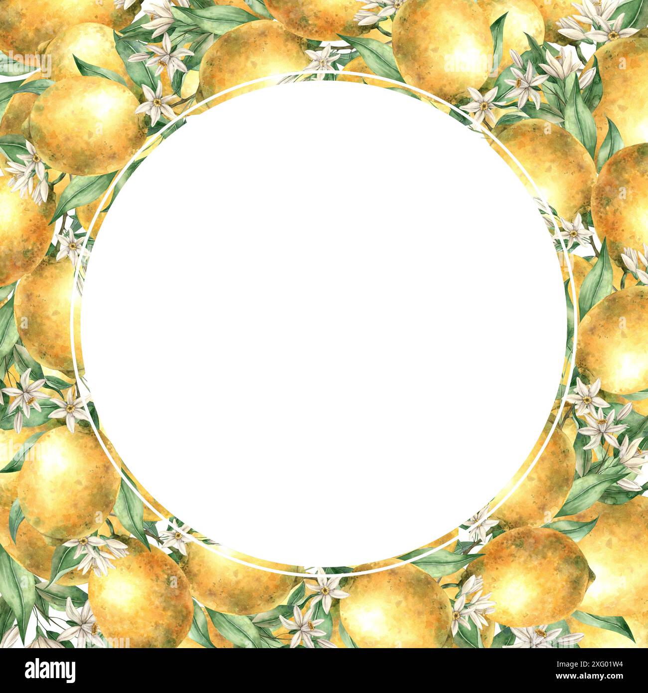 Frame of yellow juicy lemons with green leaves and branches. Isolated ...