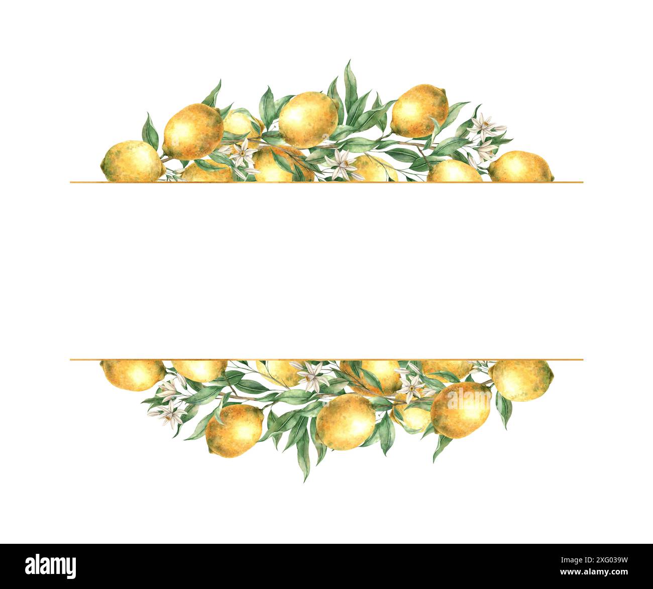 Banner and frame made of yellow lemons with green leaves and gold ...