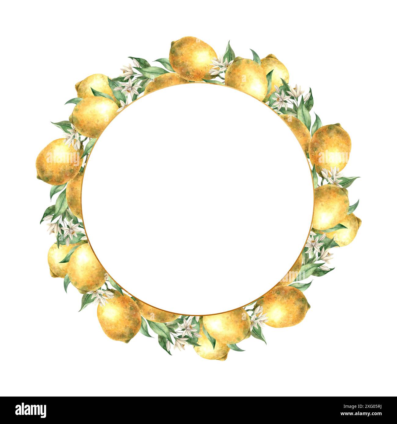 Wreath of yellow lemon fruits with green leaves and branches. Isolated ...