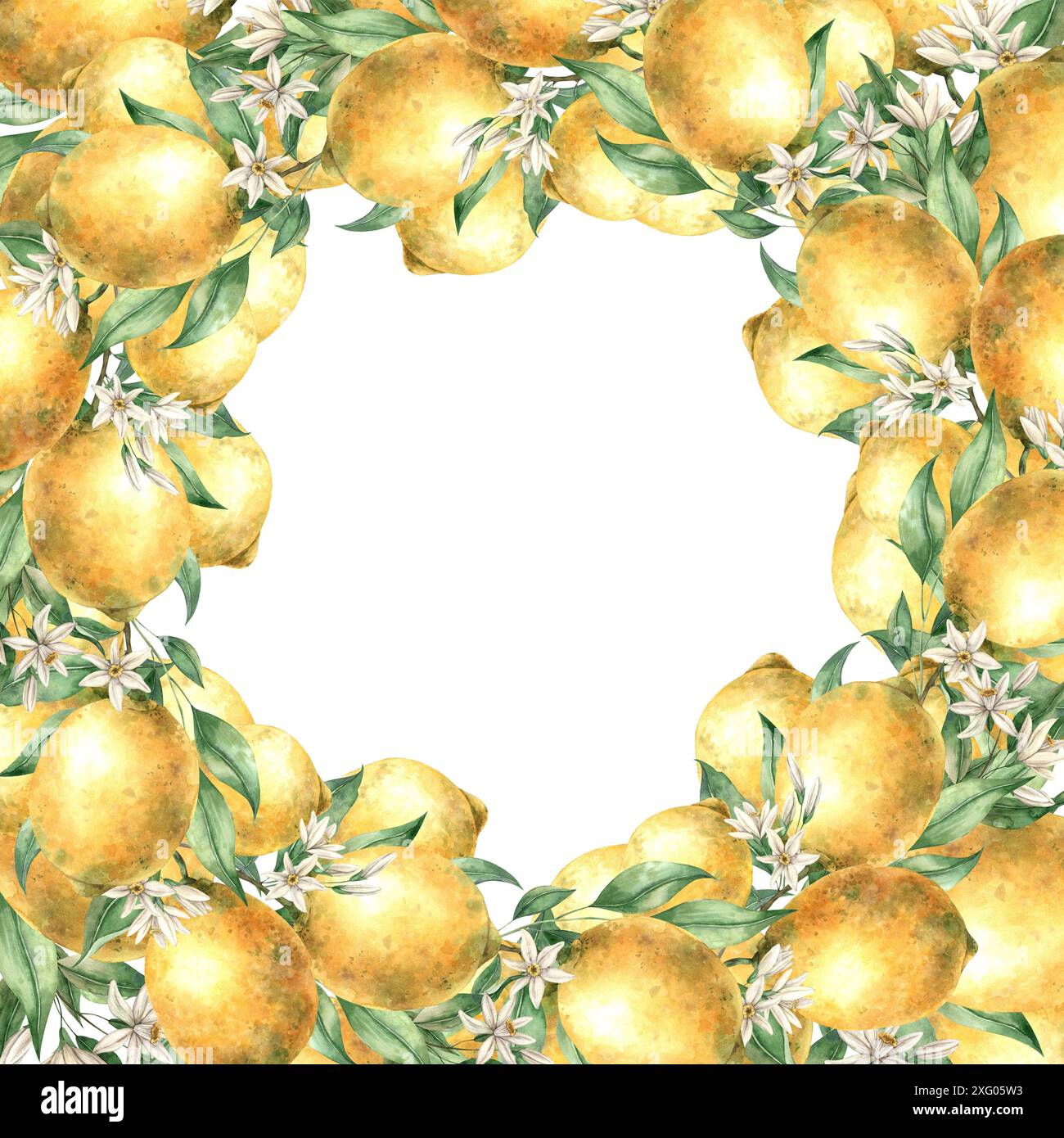 Frame of yellow juicy lemons with green leaves and branches. Isolated ...