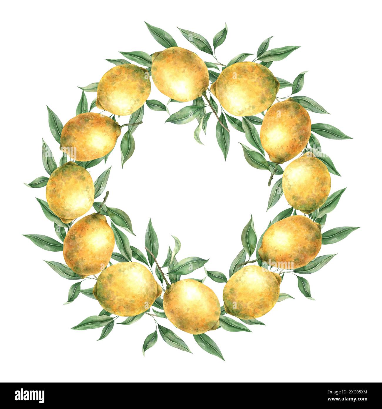 Wreath of yellow lemon fruits with green leaves and branches. Isolated ...
