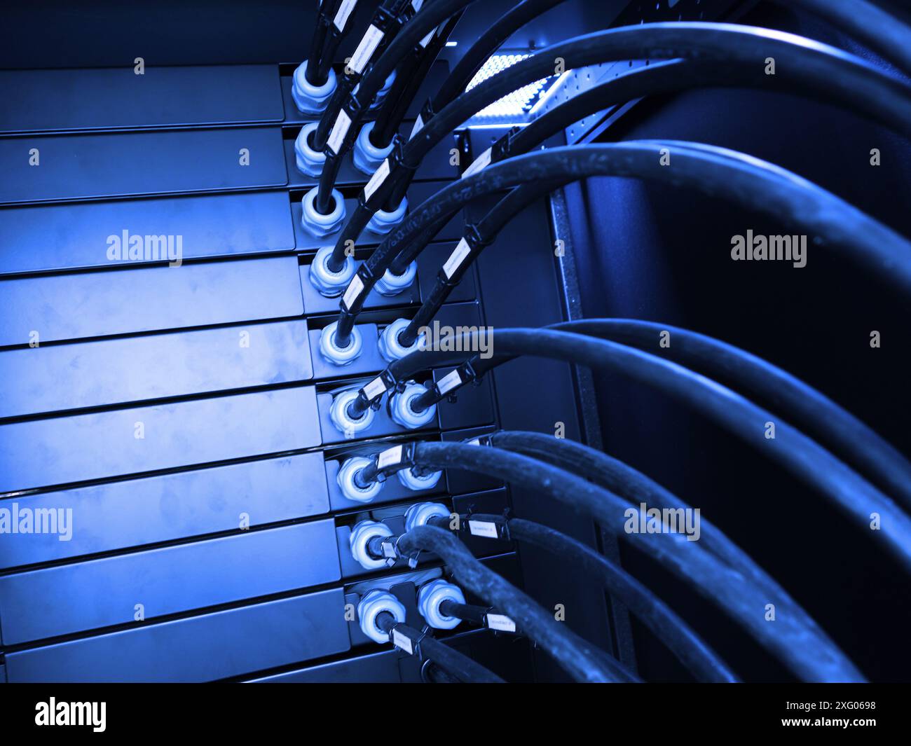 close up of network cables in a data center Stock Photo - Alamy