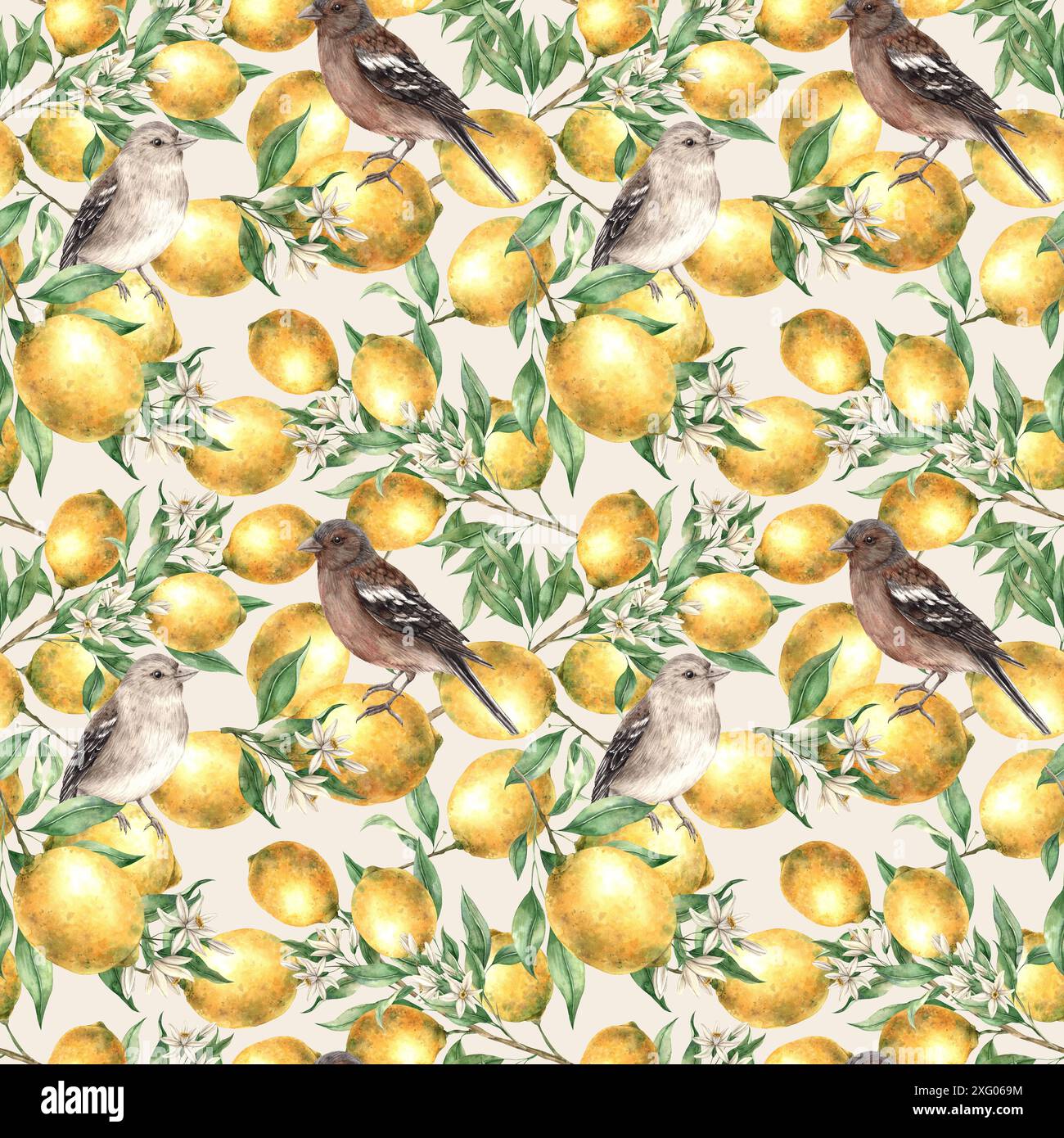 Seamless pattern of yellow lemon branches, leaves and flowers with ...