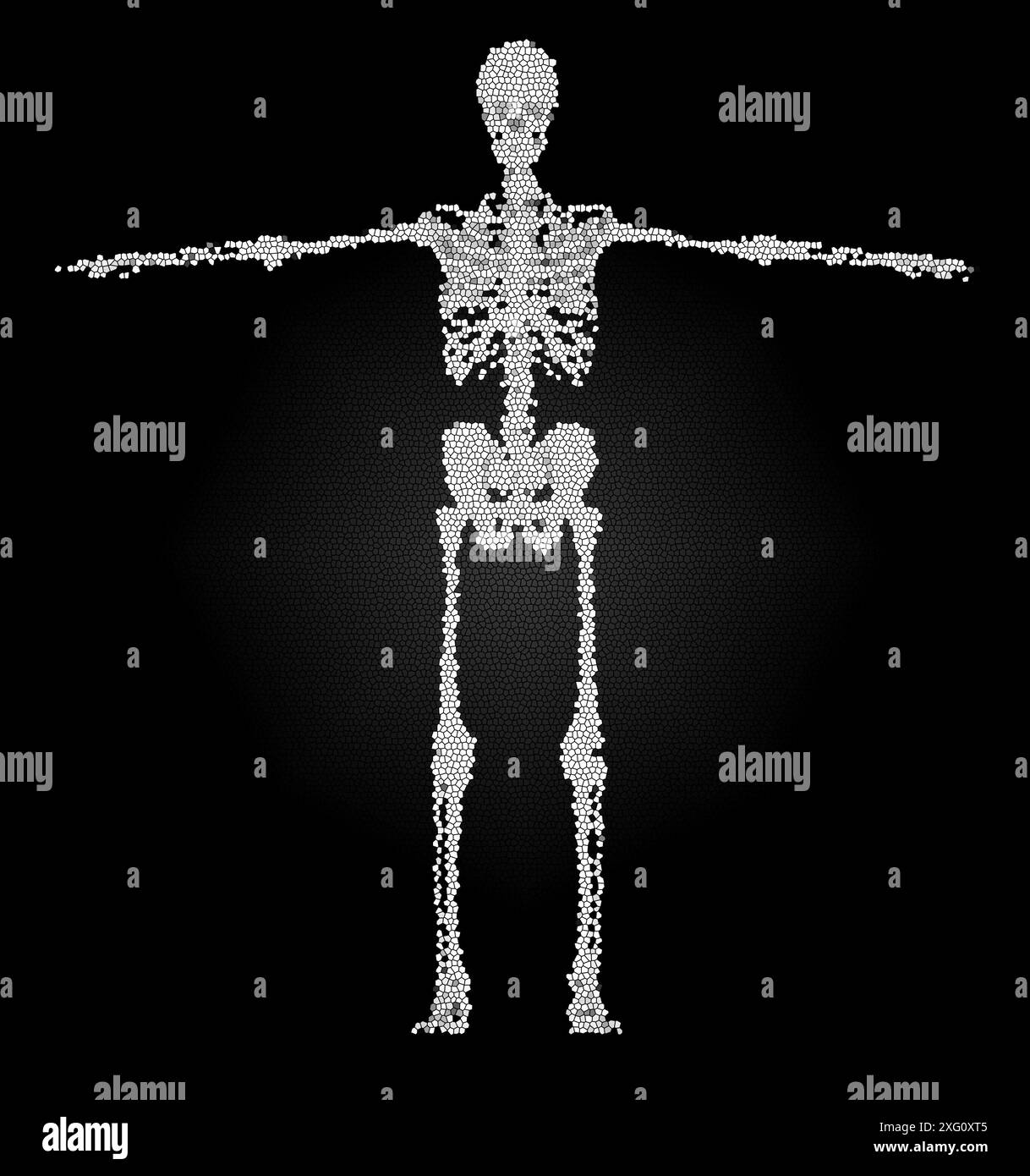 Abstract digital art of a human skeleton made of white dots on a black