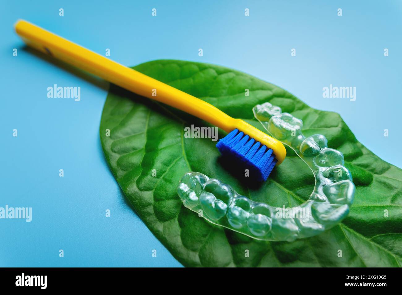 A transparent plastic aligner with a new toothbrush lie on a green fresh leaf, on a blue background Stock Photo