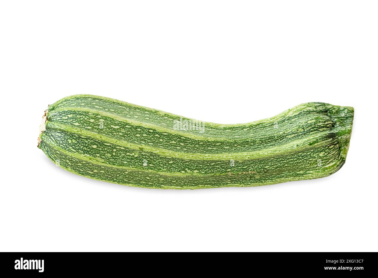 Single courgette Costata Romanesco on white background Stock Photo