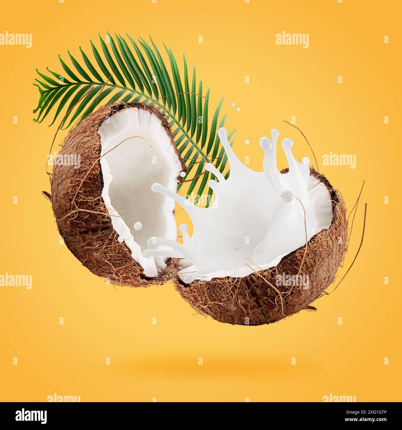 coconuts with milk splash and leaf on a yellow background. Stock Photo