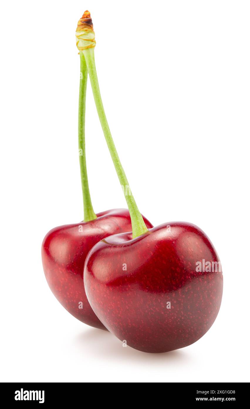 two sweet cherries isolated on a white background. Clipping path. Stock Photo
